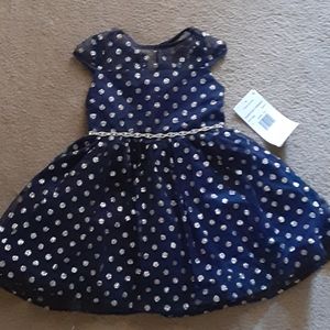 Beautiful Dress for a toddler